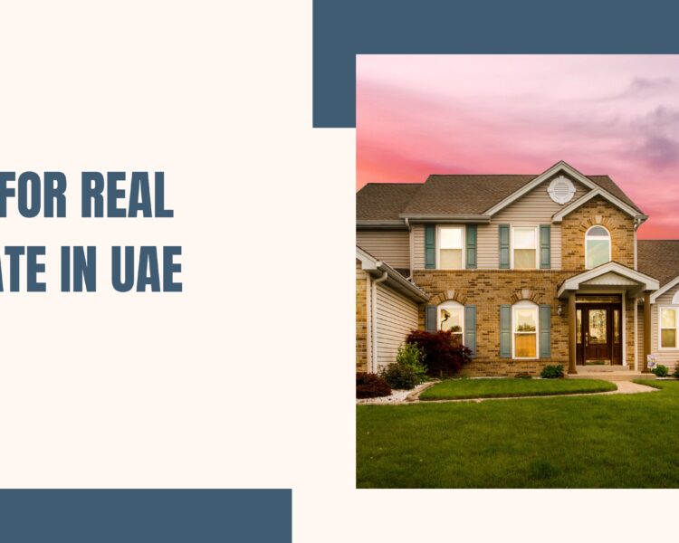 10 Reasons Monthly Bookkeeping Is Crucial for UAE Businesses