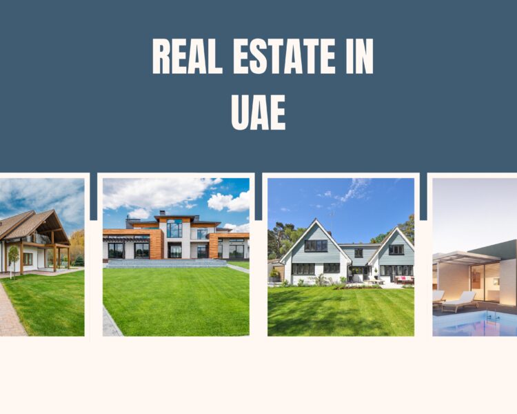 Building a Bookkeeping Routine That Fuels SME Growth in the UAE