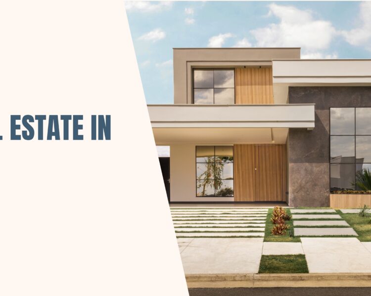 Bookkeeping Isn’t Just Paperwork a Growth Strategy for UAE Businesses