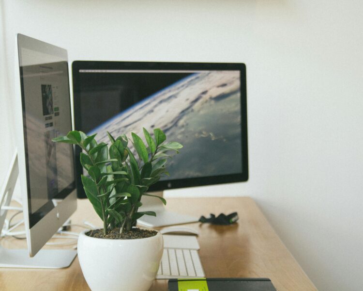 Is Your Freelance Income Taxable in Dubai? Bookkeeping Insights You Can’t Ignore